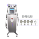 5 Handles Hot Cold Thermal Cryolipolysis Cryotherapy Cryoskin Cryo Slimming T Skin Shock Machine C11
