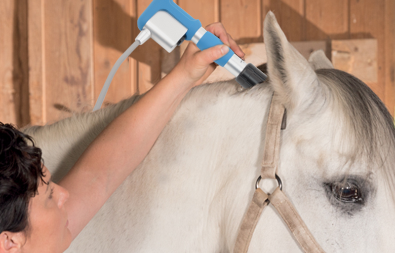 What is Shockwave Therapy for Horses?