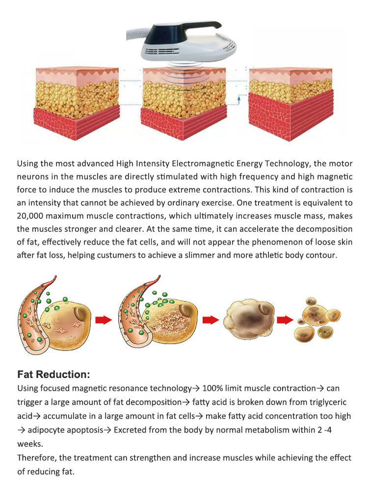 EMS Roller Slim PRO Body Sculpting Machine with 2 Handles and Multifunctional Cavitation RF Vacuum Technology