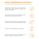 Magneto Terapia Neo Magnetic Therapy Device Magnetotransduction Magnetotherapy Transduction PMST-NEO+