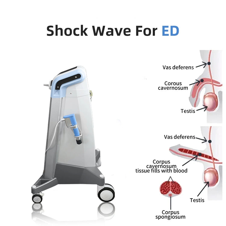 Shock wave Medical Factory Offer Ultrasonic Shockwave Therapy for ED, Body Pain, Cellulite Reduction