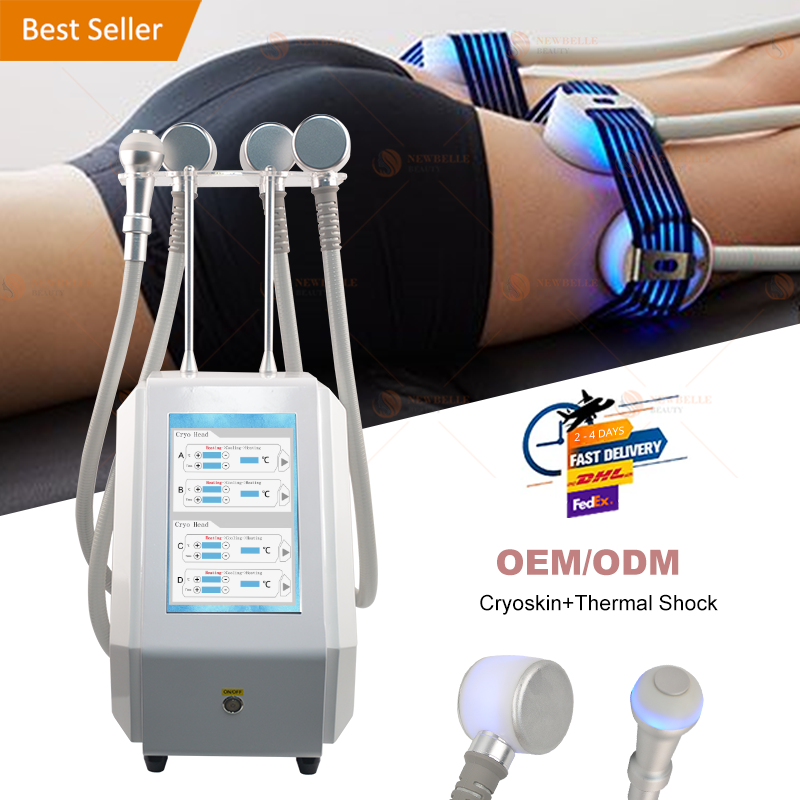 Body Sculpting Cryolipolysis Cryoshape Cryoskin Beauty Machine 4.0 C10