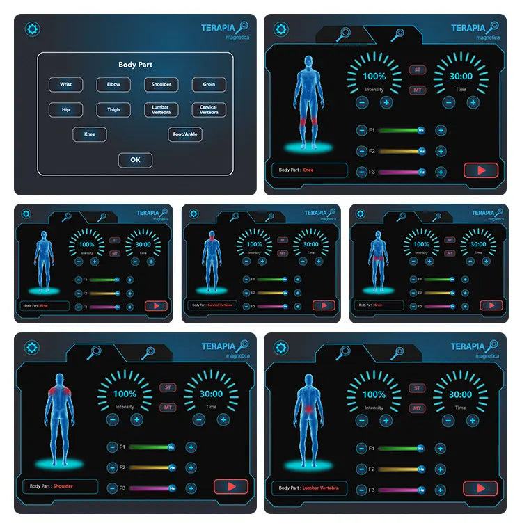 EMTT Therapy Magneto Transduction Physical Therapy Physiotherapy Extracorporeal magnetotherapy pain relief machine