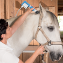 NEWBELLE Horse massage vet shockwave treatment horses pain relief device veterinary equipment shock wave therapy machine for animals SW13H