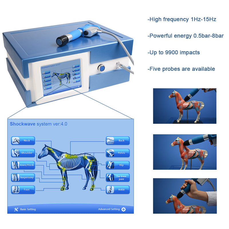 Horse massage vet shockwave treatment horses pain relief device veterinary equipment shock wave therapy machine for animals