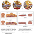 Hot Product HI Lose Weight 4 Handles Tesla Ems Emt RF Electrical Muscle Stimulation Body Sculpting Emslim Machine Neo With Rf