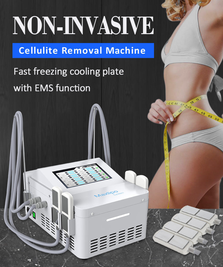 Factory Price Wands Paddles T Shock Lipolysis Cryotoning Cryoskin 4.0 Machine